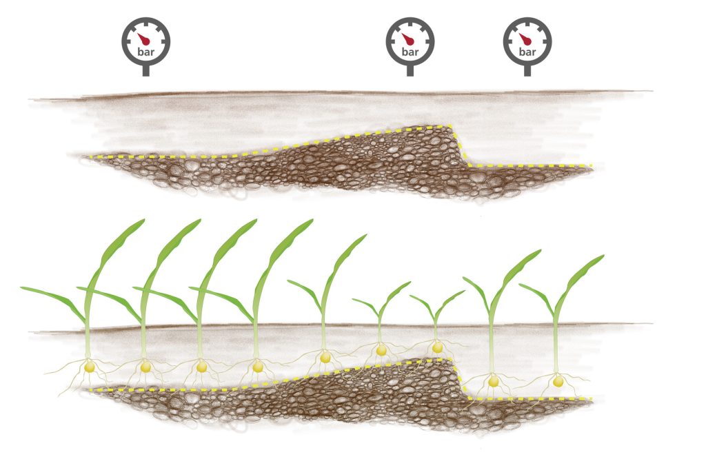 Bez AutoForce: stały nacisk – nieregularne umieszczanie nasion
