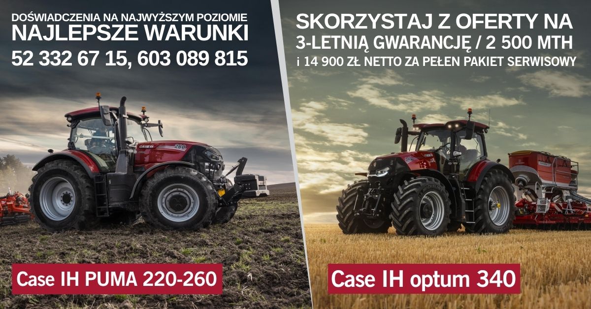 TOP-EXPERIENCE-BEST-TERMS-1