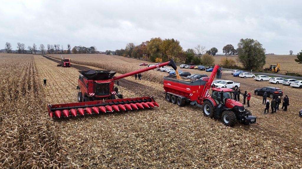 DJI_20251030123231_0514_D-1024x576